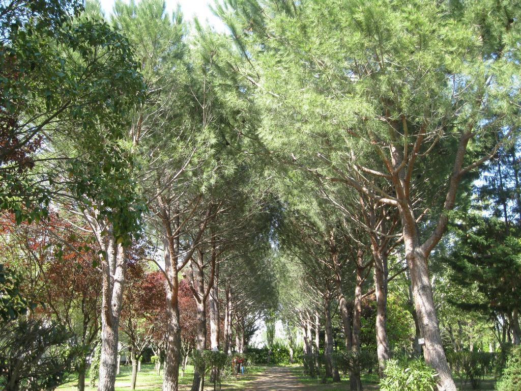 Montblanc Camping Le Rebau מראה חיצוני תמונה